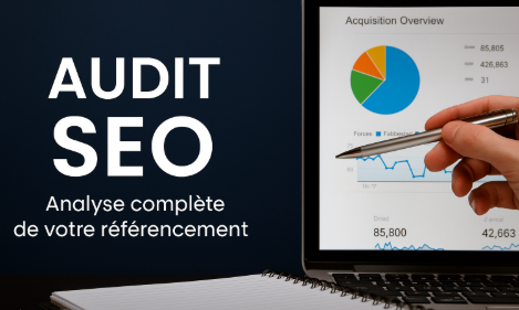 audit seo metz avec graphique et statistiques